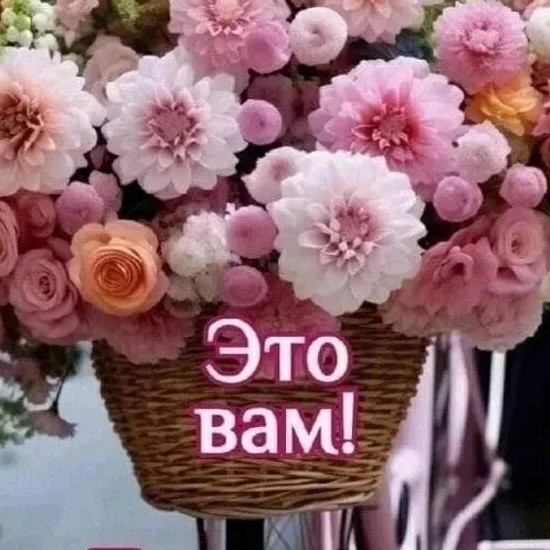 Лучшие ОТКРЫТКИ и КРУТЫЕ ВИДЕО