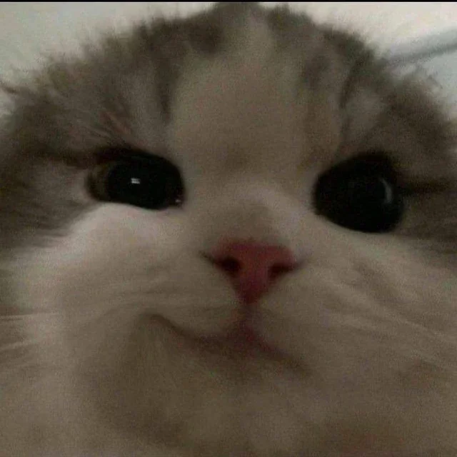 Люблю