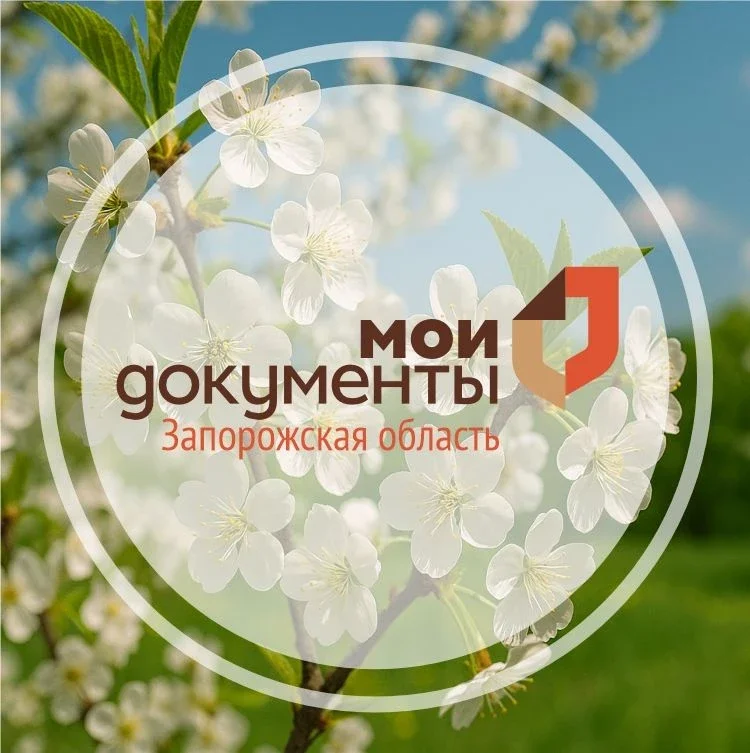 Мои Документы Запорожская область
