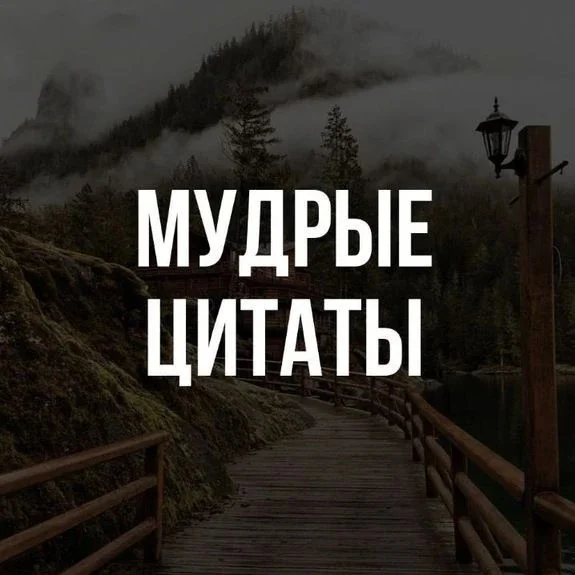 Мудрые цитаты