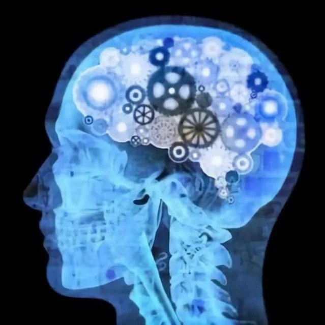 НЕЙРОПСИХОЛОГИЯ🧠/ДЕФЕКТОЛОГИЯ/ЛОГОПЕДИЯ/ПЕДАГОГИКА 🙆‍♀️