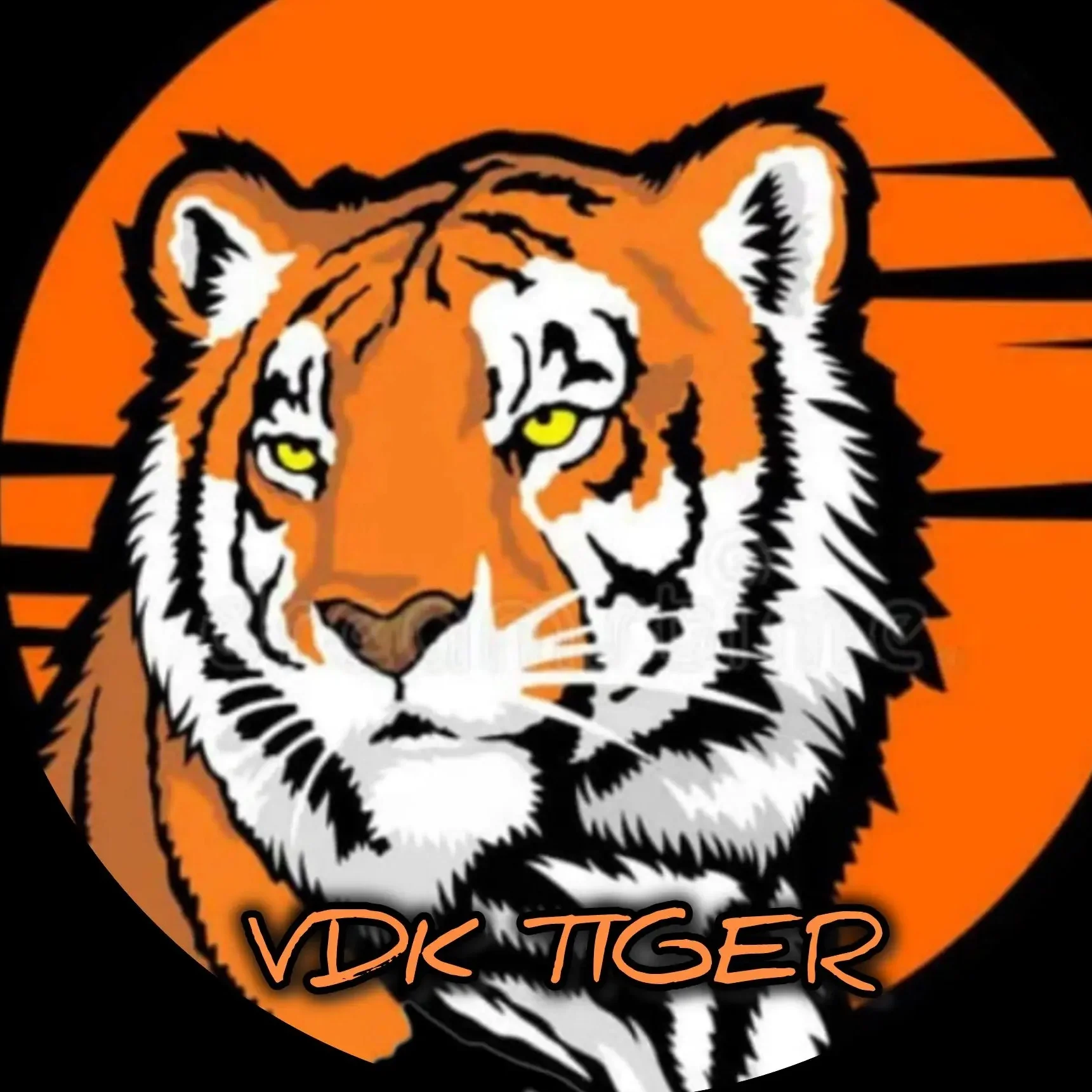 🐯Владивосток Новости Приморский край 🐯 VDK_Tiger Приморье Уссурийск Артем Находка Svodka25 Погода сейчас  Сегодня Знакомства ДПС КОНТРОЛ сводка25 авария пожар дтп чп 25 регион сводка Девушки Реклама