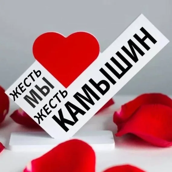 Жесть. Камышин